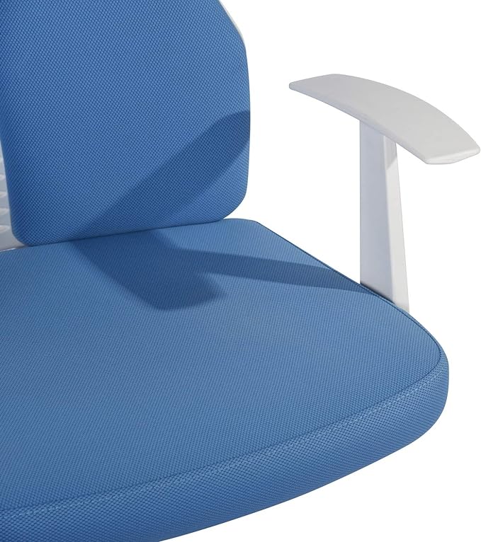 Homylin Home Office Chair Ergonomic Chair Office Chair with Breathable Mesh Seat/Lumbar Support/Armrest, Executive Rolling Swivel Adjustable Task Chair for Teens Adults, Light Blue