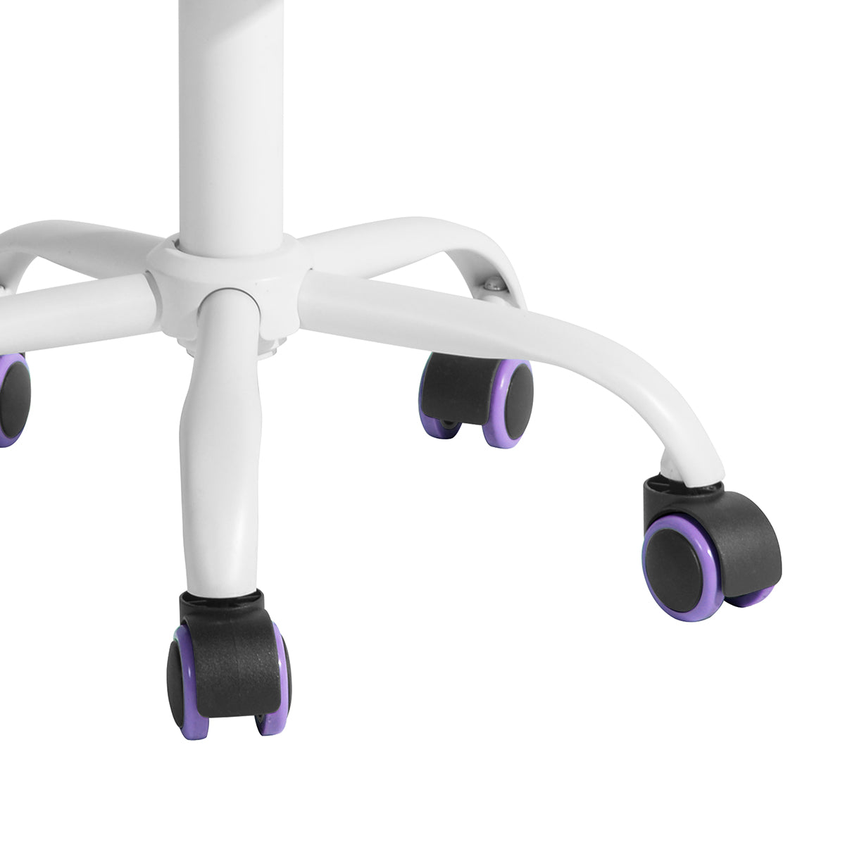 CARNATION PURPLE Ⅰ